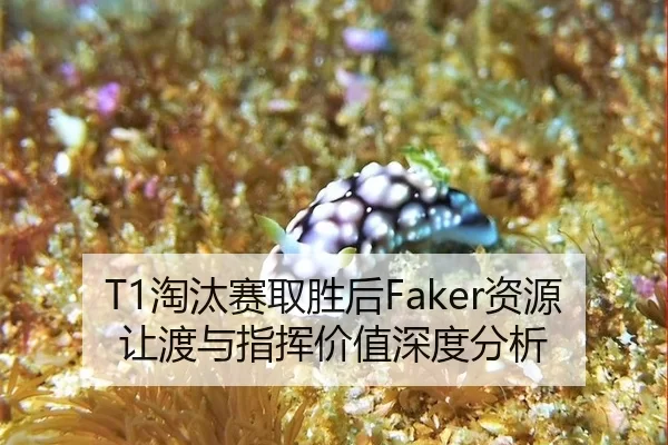 T1淘汰赛取胜后Faker资源让渡与指挥价值深度分析